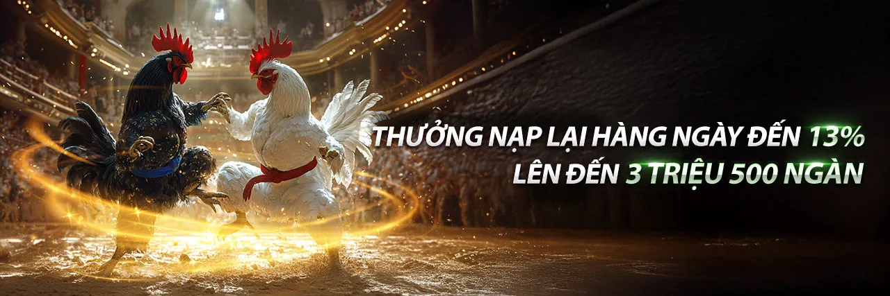 Trải nghiệm sảnh đá gà M88 trực tuyến với chất lượng cao